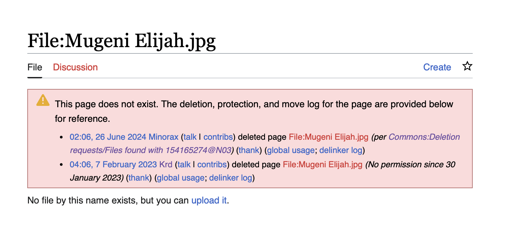 Screenshot of a file on Wikimedia Commons with a red box ‘The page does not exist. The deletion, protection, and move log for the page are provided below for reference’. The log shows that the file was deleted on 26 June 2024.